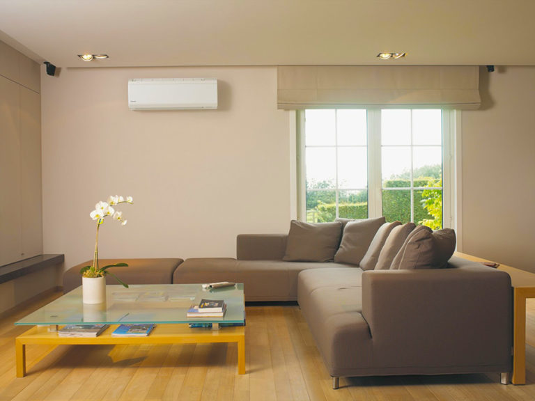 Ductless mini split home